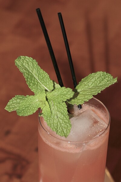 Mint Garnish